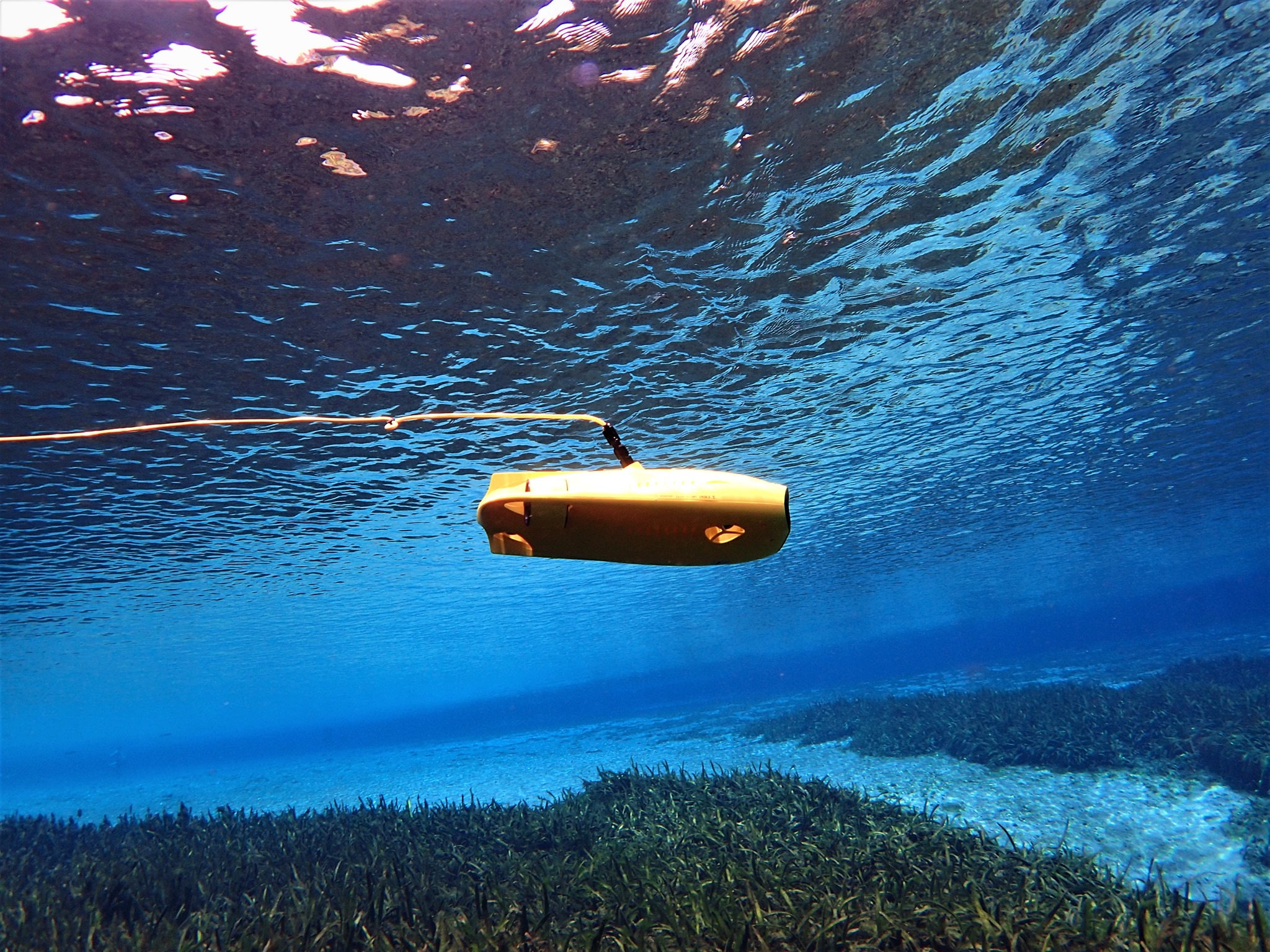 gladius-mini-underwater-drone-florida.jpg
