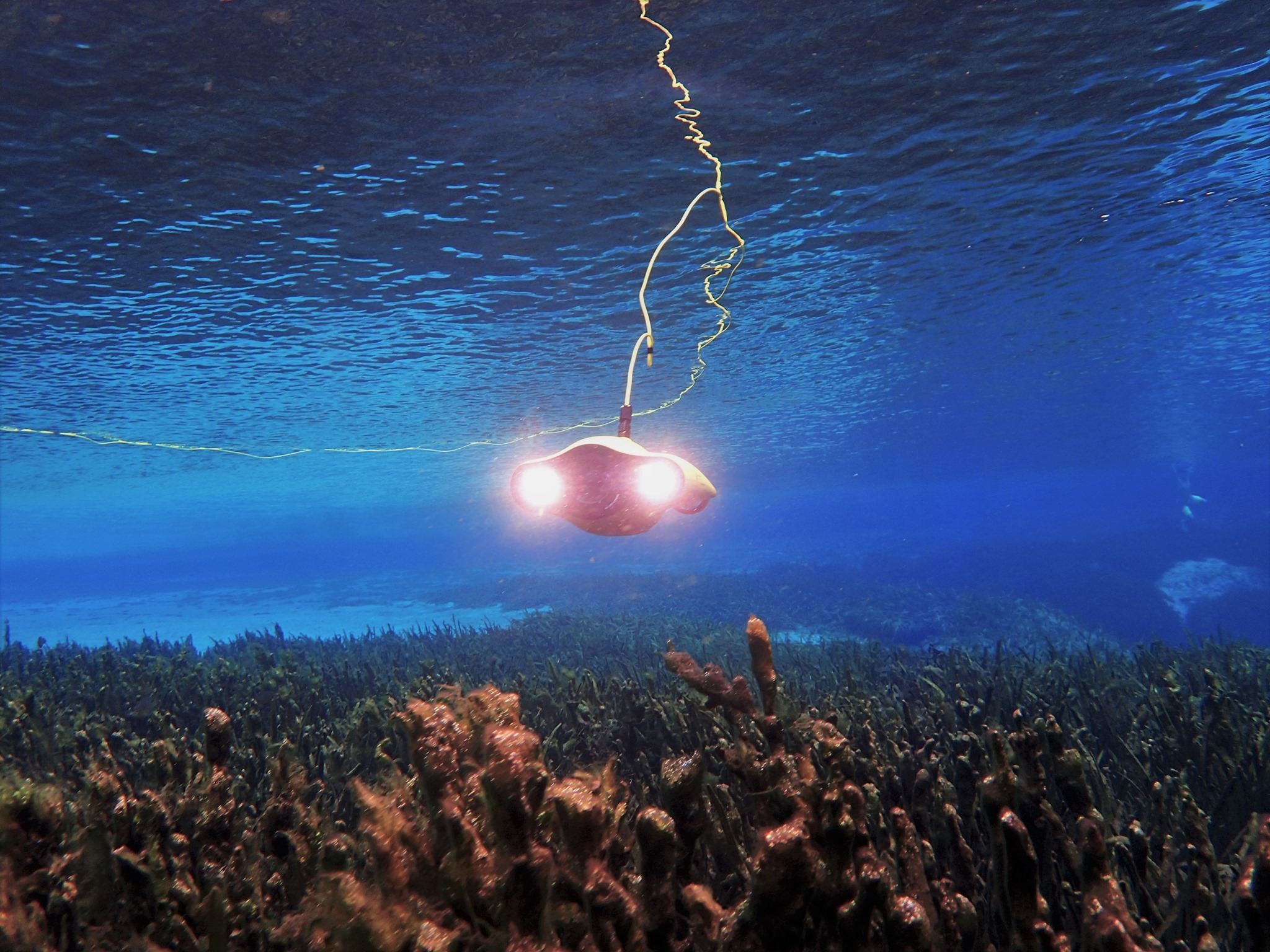 gladius-mini-underwater-drone-photo.jpg